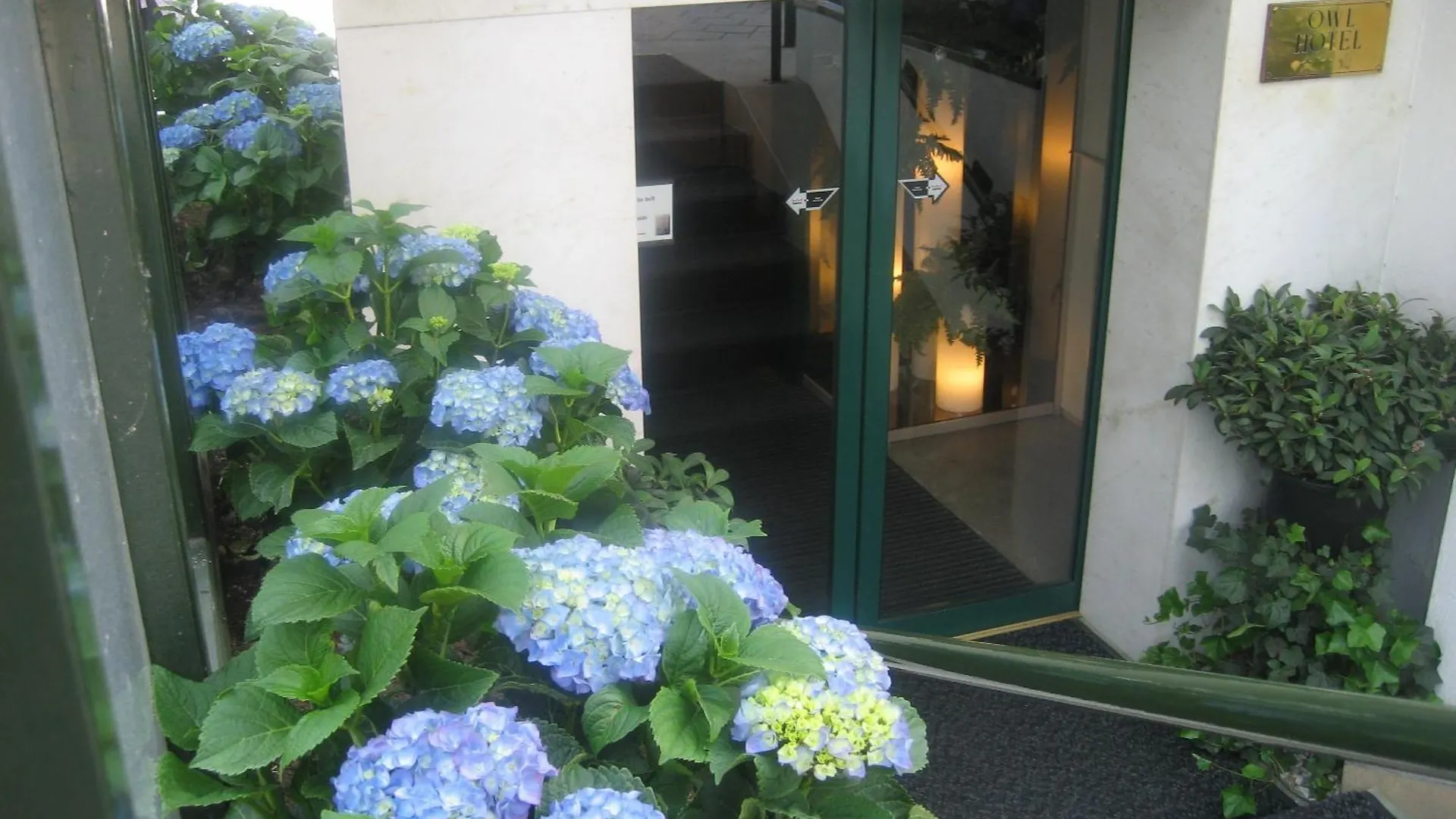 Owl Hotel Amszterdam